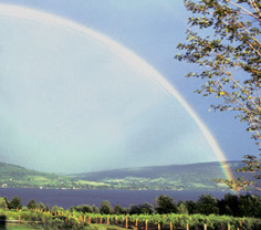 Rainbow over Keuka Lake.